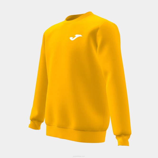 kazak genç aslan Joma turuncu0RJD2738